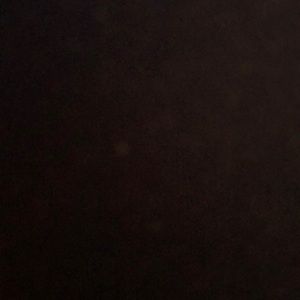 Meet your Posher, Benjamin